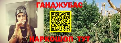 гидропоника Будённовск