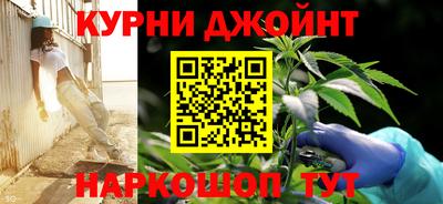гидропоника Будённовск
