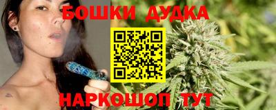 гидропоника Будённовск