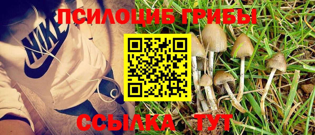 Кыштым  Псилоцибиновые грибы мицелий  Псилоцибиновые грибы мицелий  Вход с VPN 