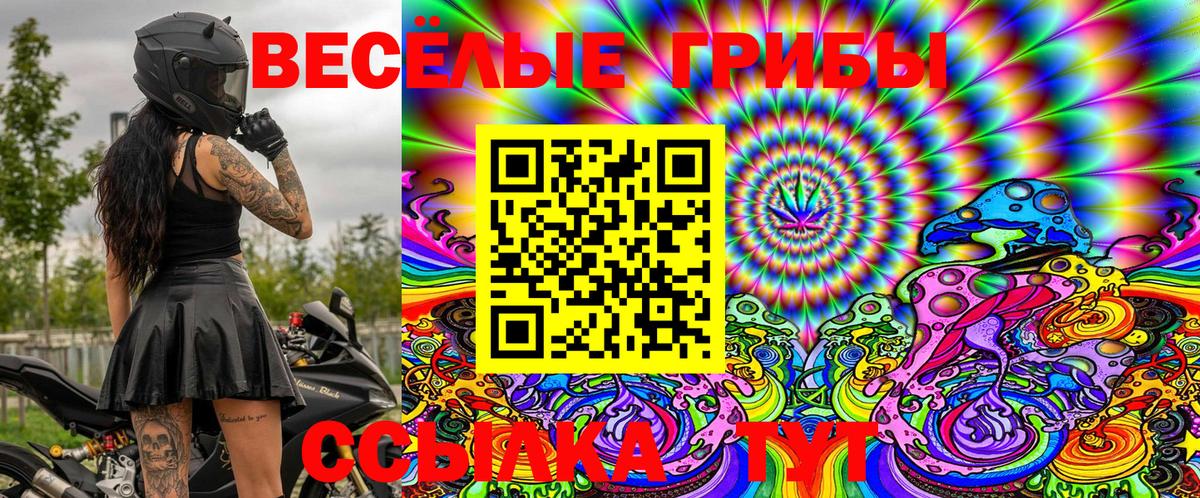 Галлюциногенные грибы Cubensis Кыштым